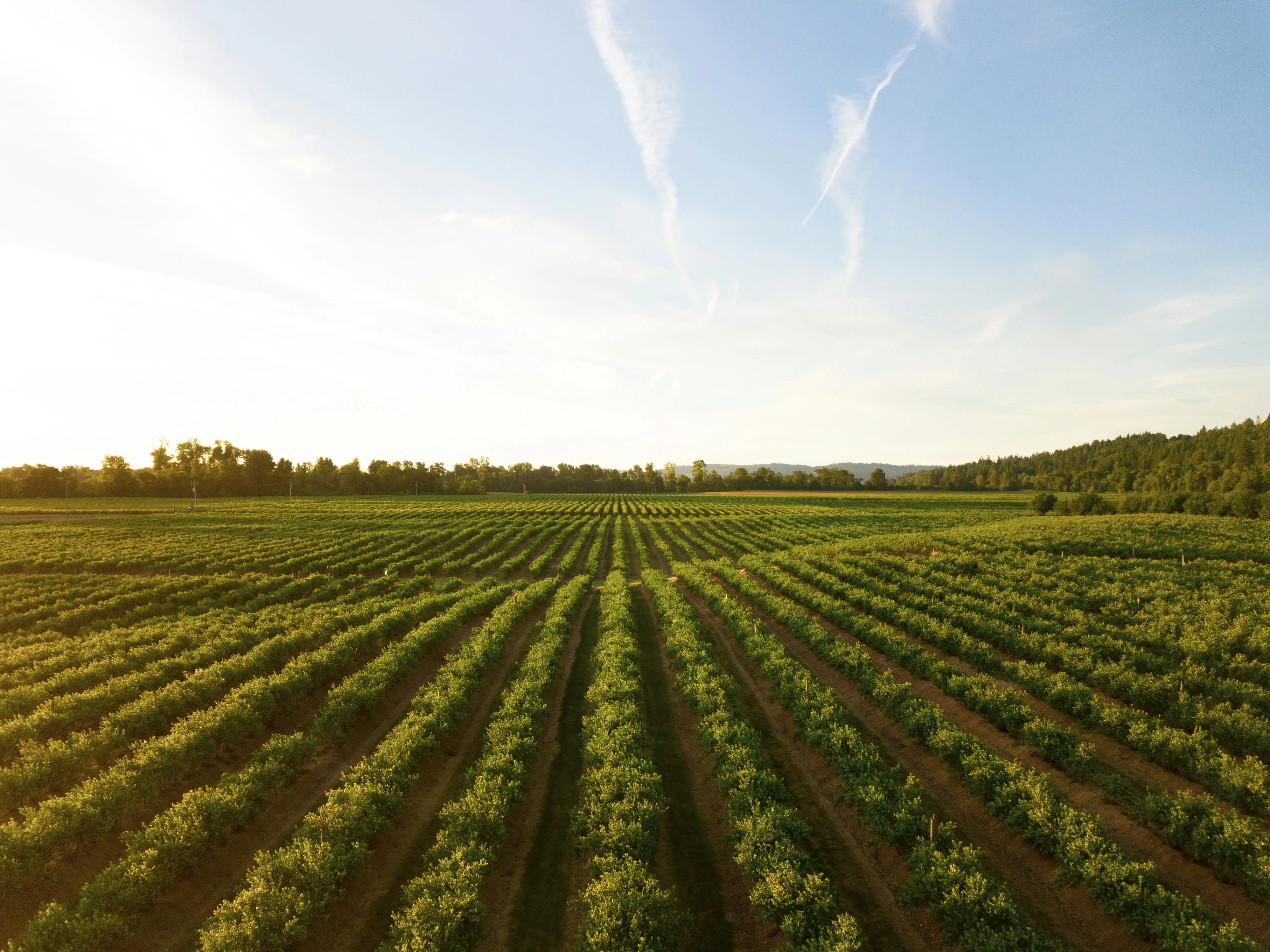 add agriculture bg